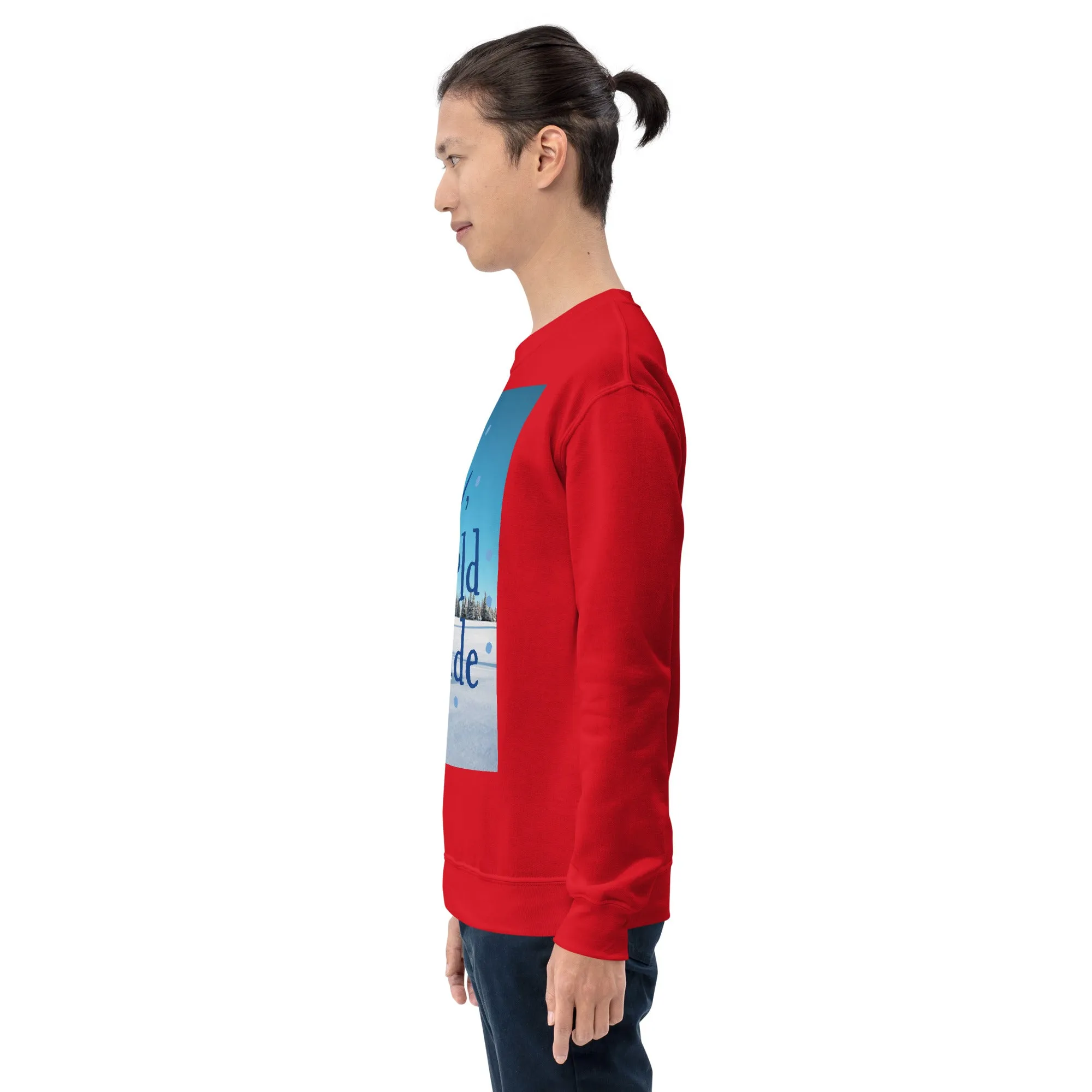Baby It's Cold Outside Christmas Sweatshirt (Glamourange Christmas Sweatshirt Men)