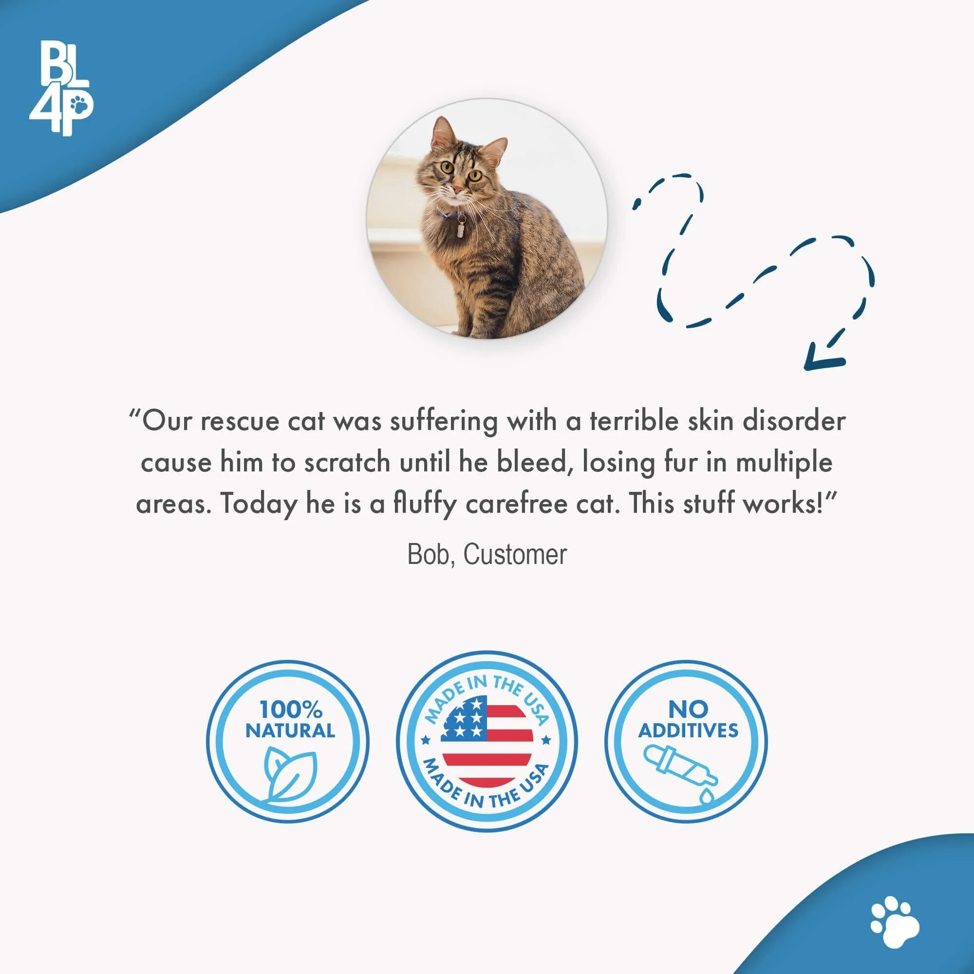 Cat Skin & Allergy Bundle (Itchy Skin, Shedding, Dandruff)