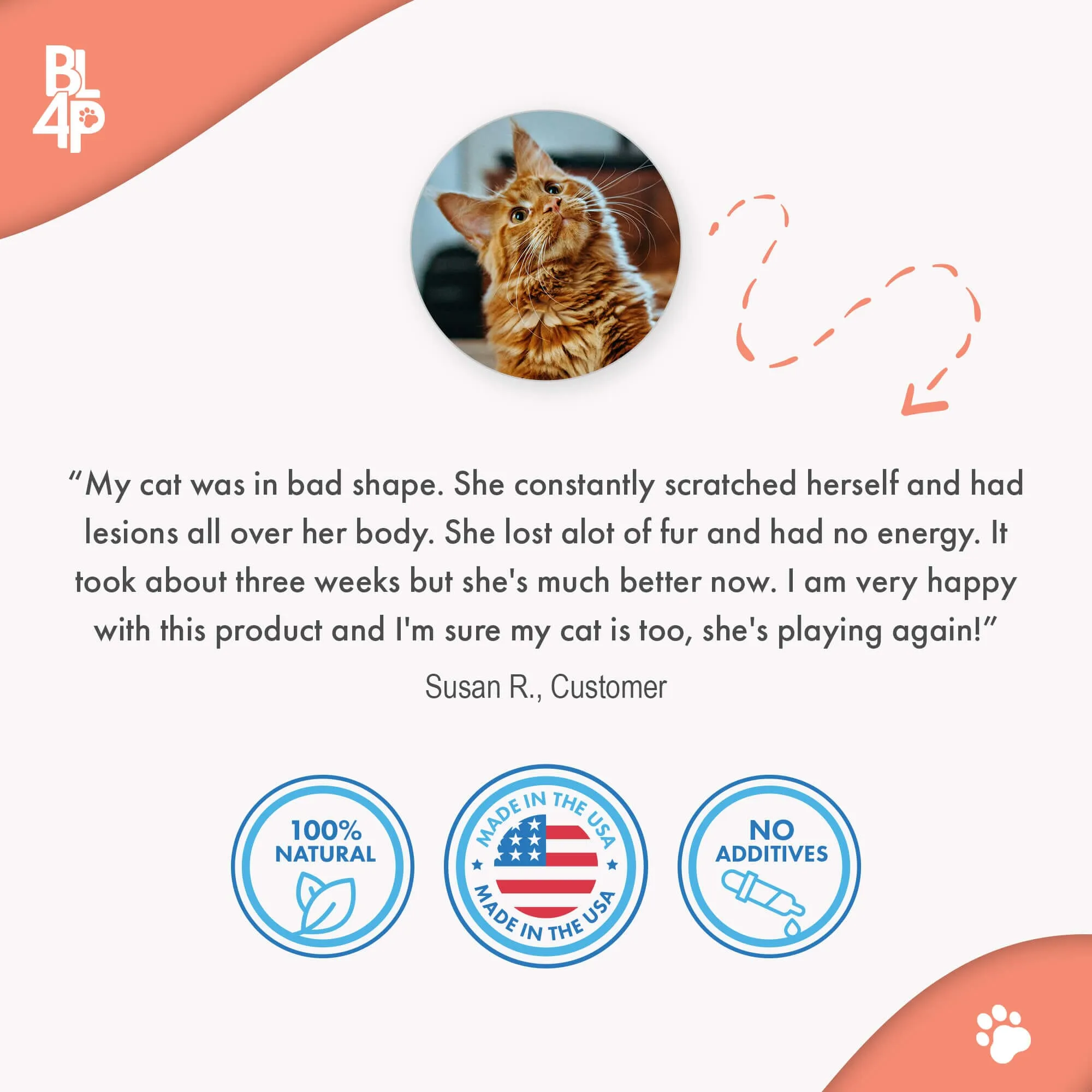 Cat Skin & Allergy Bundle (Itchy Skin, Shedding, Dandruff)