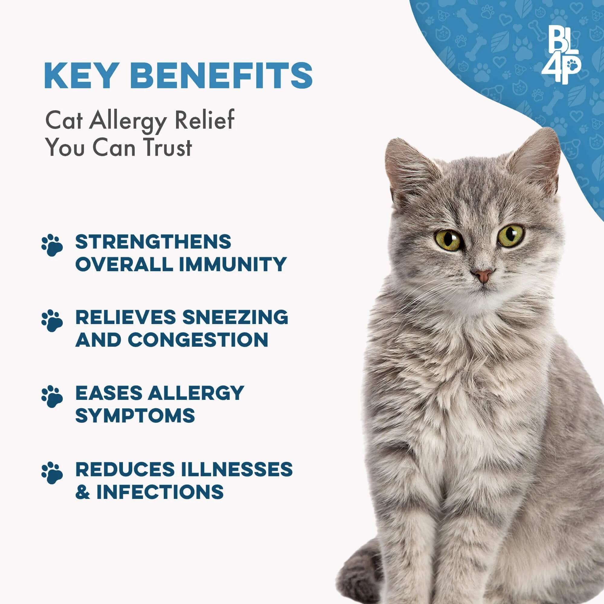 Cat Skin & Allergy Bundle (Itchy Skin, Shedding, Dandruff)