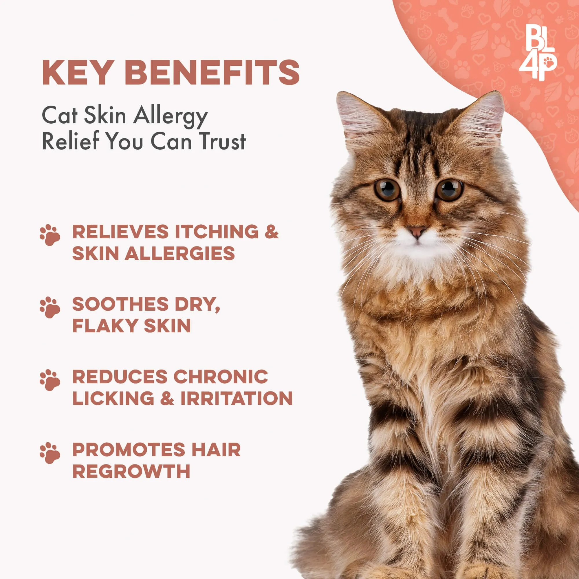Cat Skin & Allergy Bundle (Itchy Skin, Shedding, Dandruff)