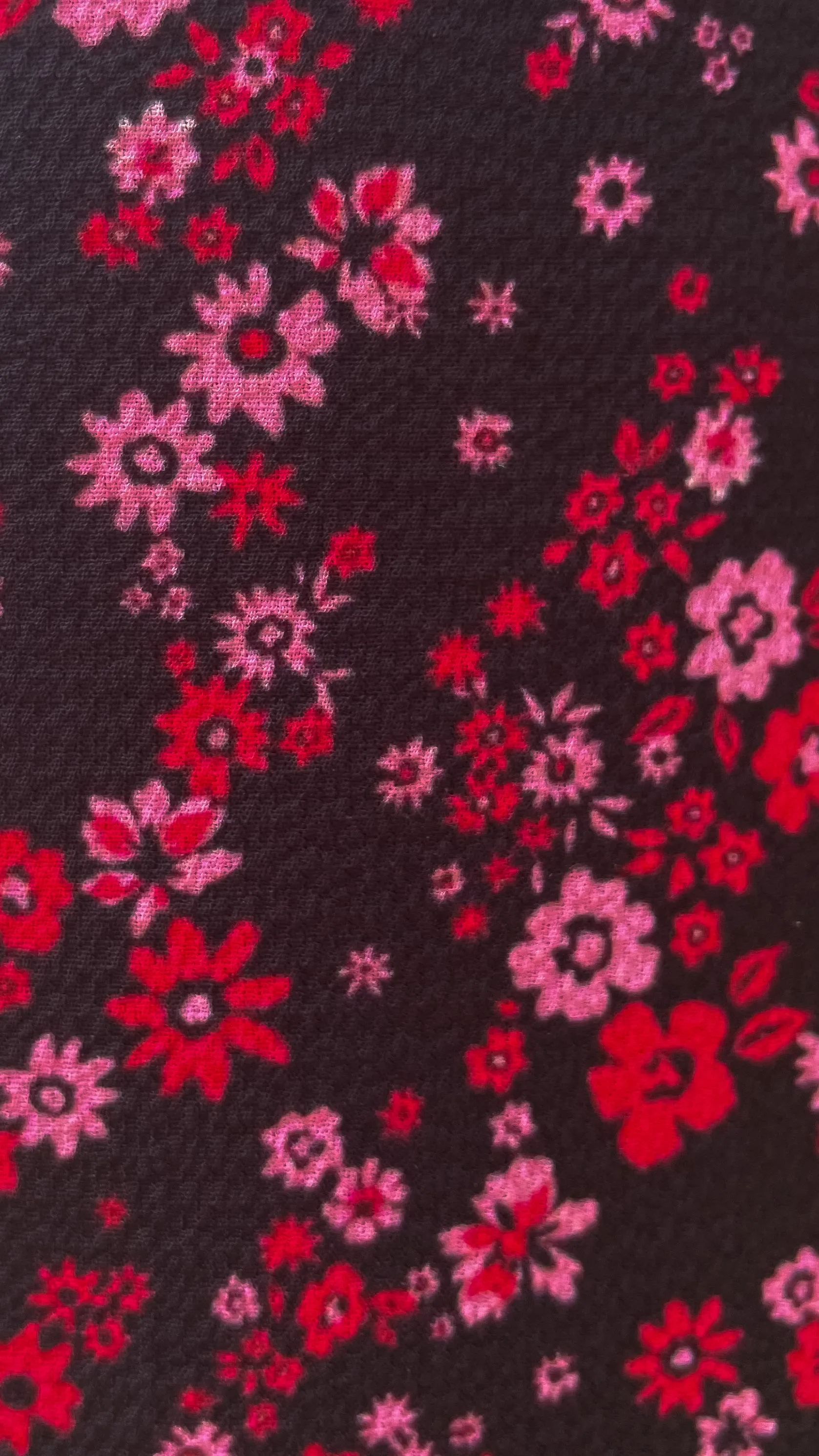 CurveWow Black Red Pink Floral Culottes