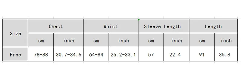 Elegant Puff Sleeve Winter Dress