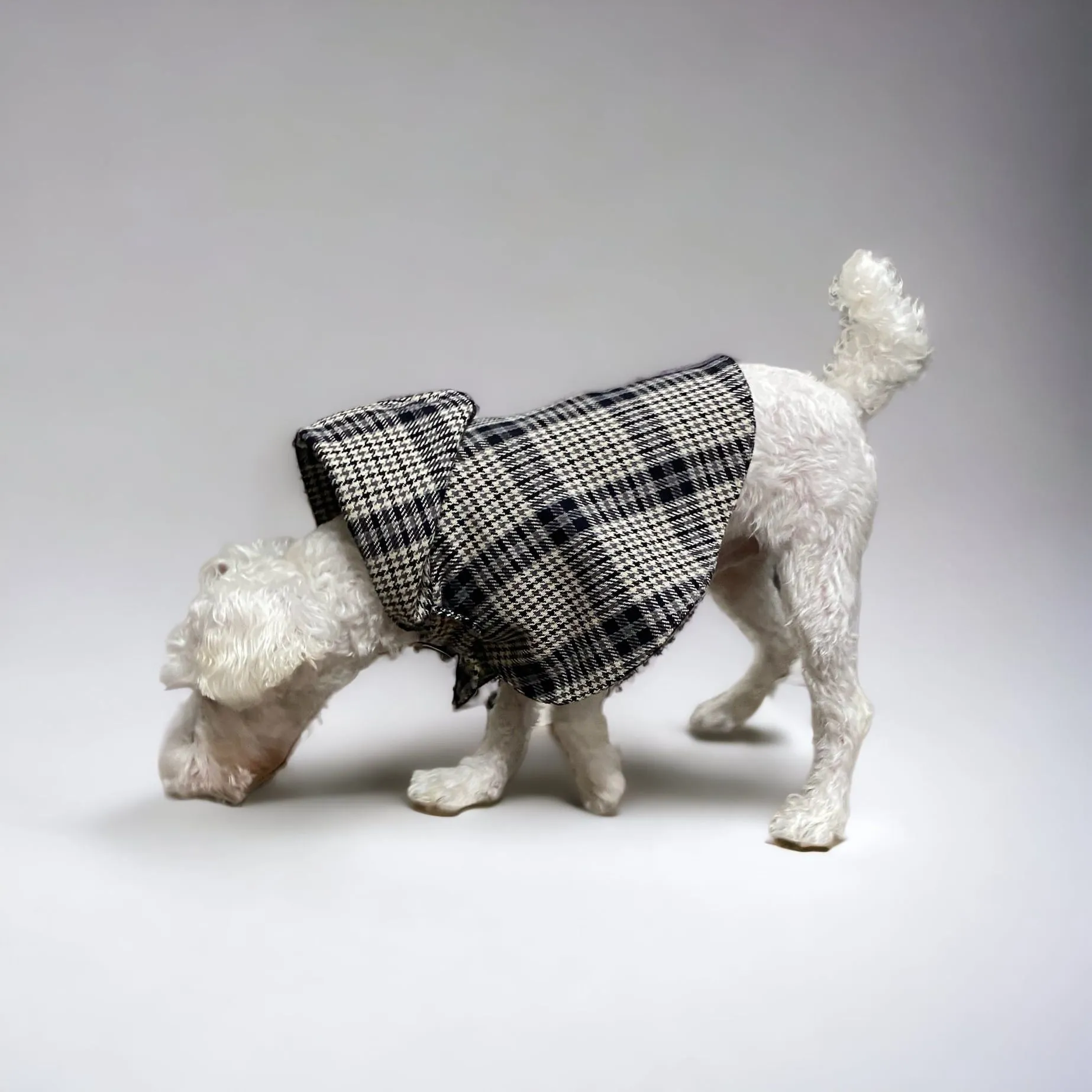 Poncho Coat [Collection A/W].