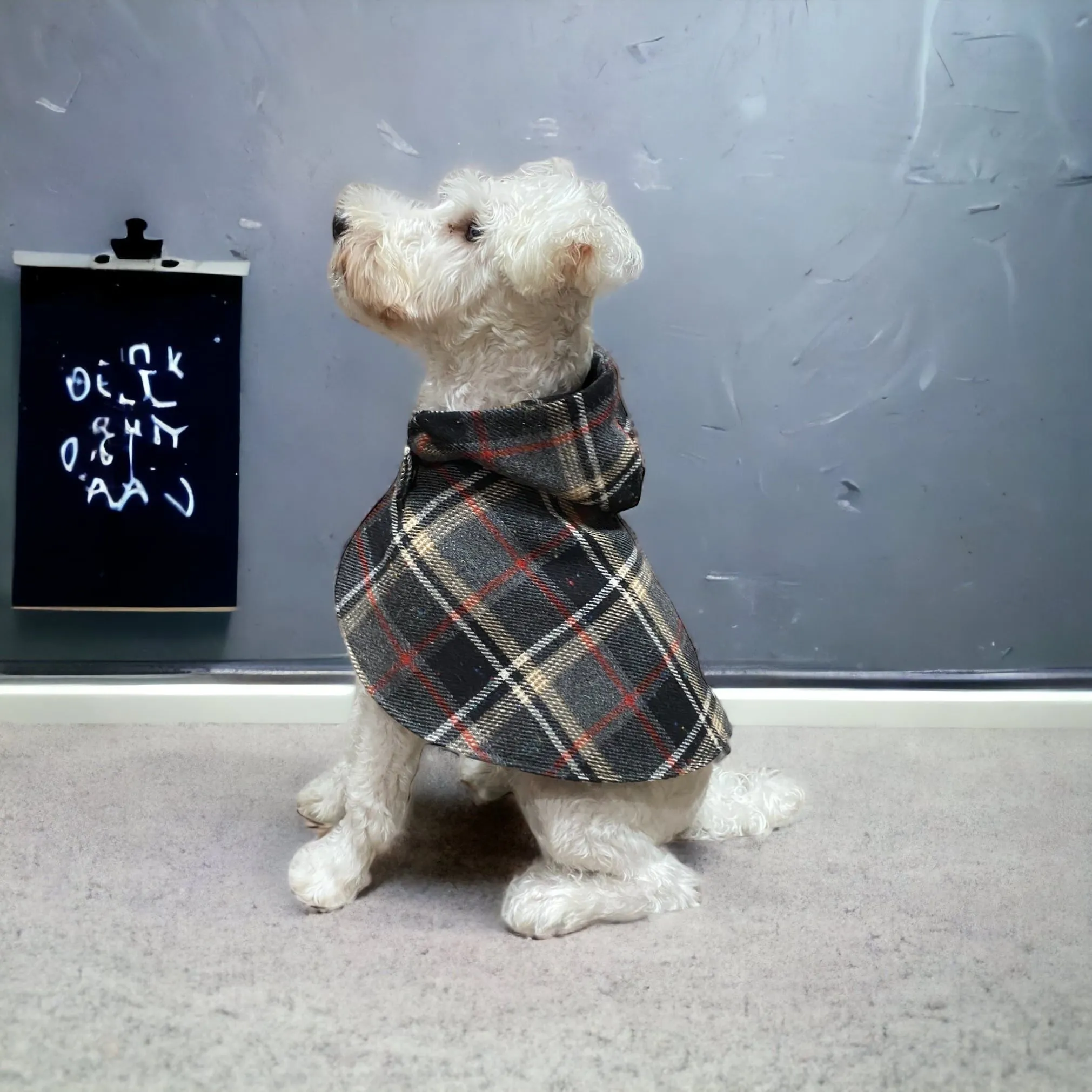 Poncho Coat [Collection A/W].