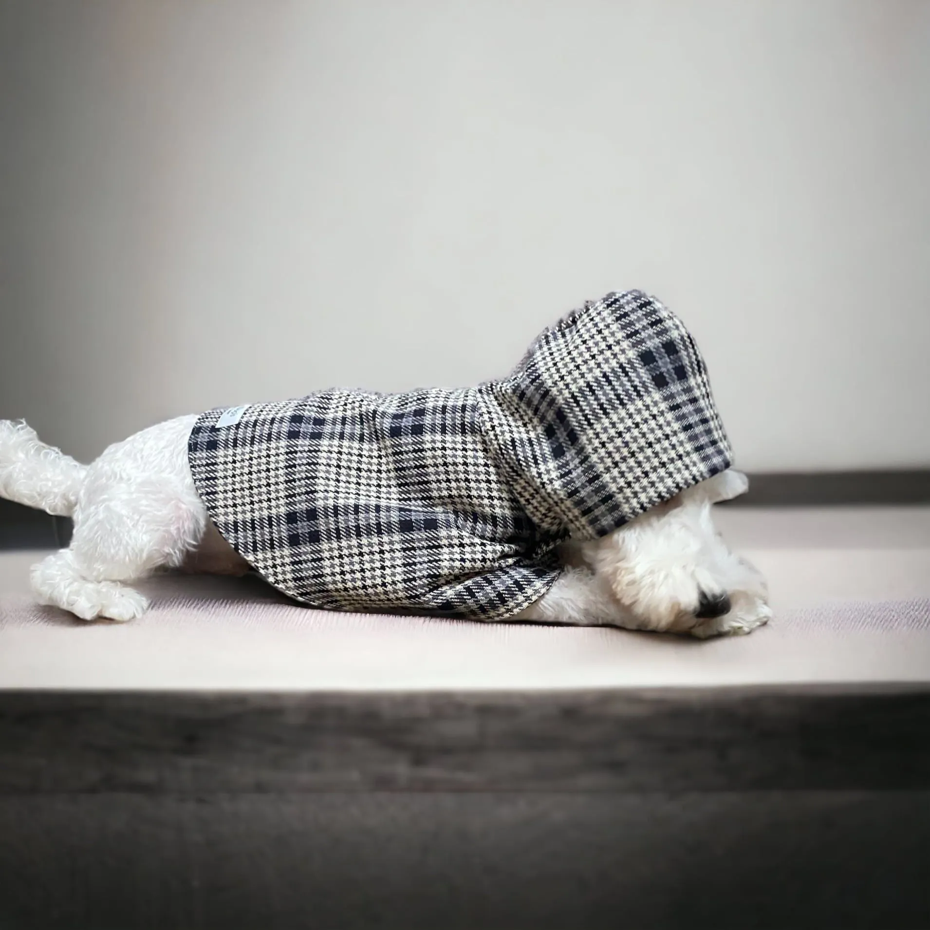 Poncho Coat [Collection A/W].