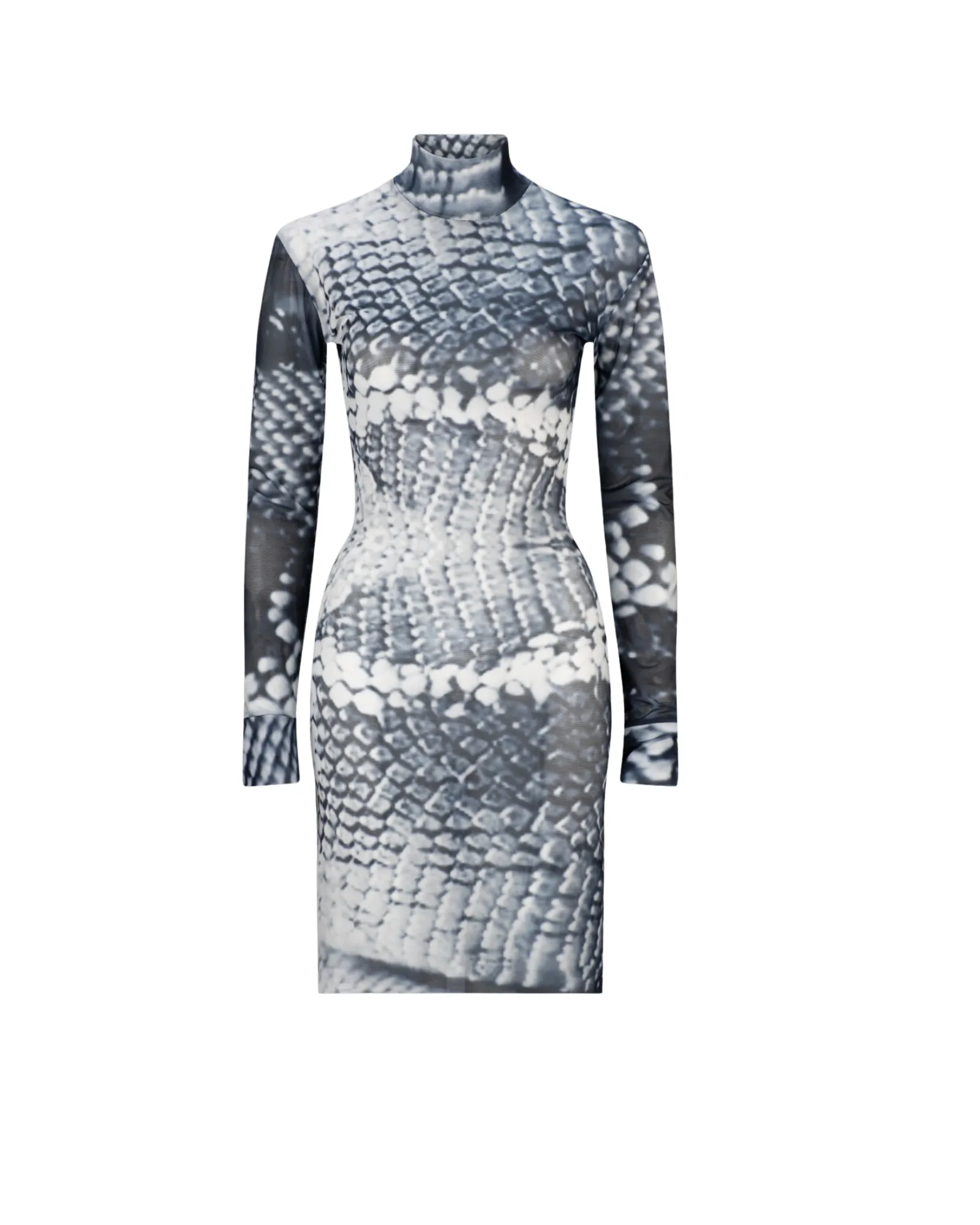 Scaled Mesh Dress